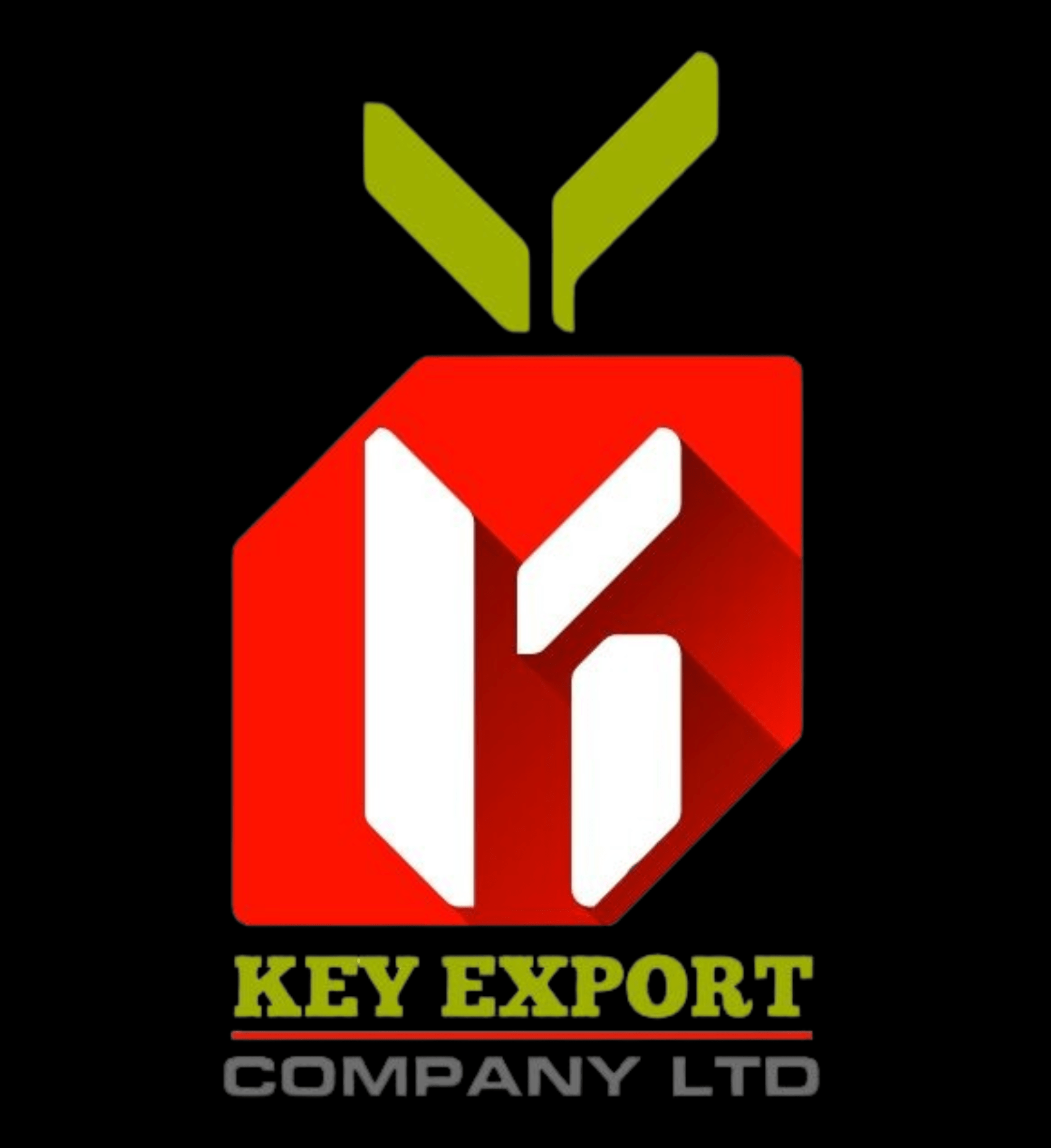 Footer Logo Key Export Company Limited